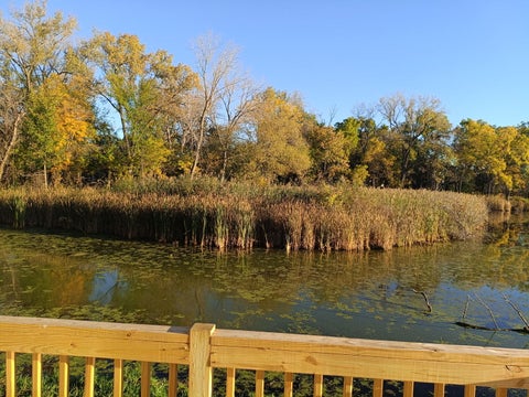 Tiny photo for 809 Lakeview Drive, Round Lake, IL 60073 (MLS # 12763425)