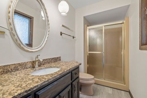 Tiny photo for 12947 W Oak View Court, Homer Glen, IL 60491 (MLS # 12511860)