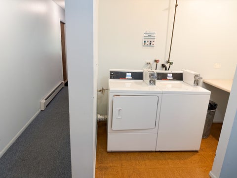 Tiny photo for 753 S Dwyer Avenue #E, Arlington Heights, IL 60005 (MLS # 12775916)
