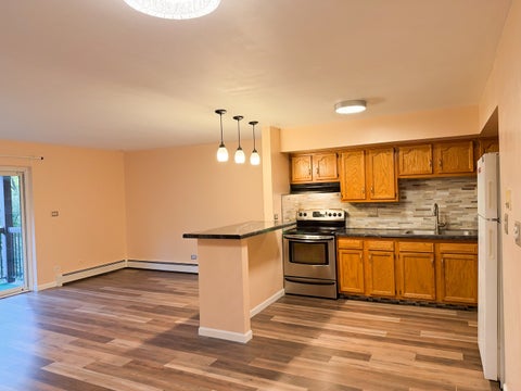 Tiny photo for 753 S Dwyer Avenue #E, Arlington Heights, IL 60005 (MLS # 12775916)