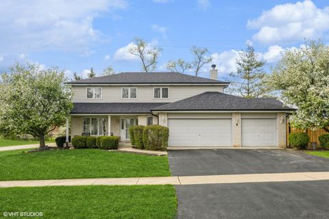 10401 Bloomfield Drive Palos Park IL 60464