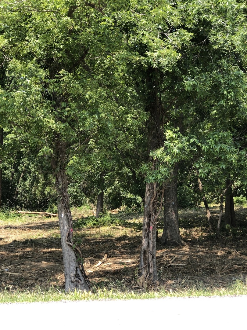 12940 Hadley #3 Hadley Road