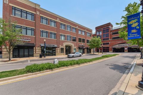 Tiny photo for 3600 Quince Court, Downers Grove, IL 60515 (MLS # 12516889)