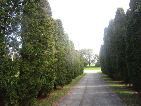 A home in Monee