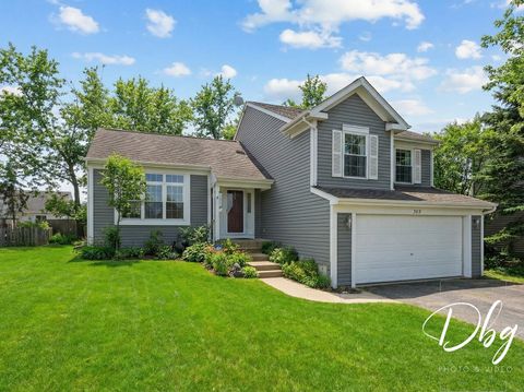 389 E Cherry Cove Lane Round Lake Beach IL 60073