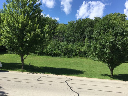 517 RIVERS EDGE DR, MINOOKA, IL 60447 - Image 7eaab82cf60f037bd709b69e209e4b75/1491830792