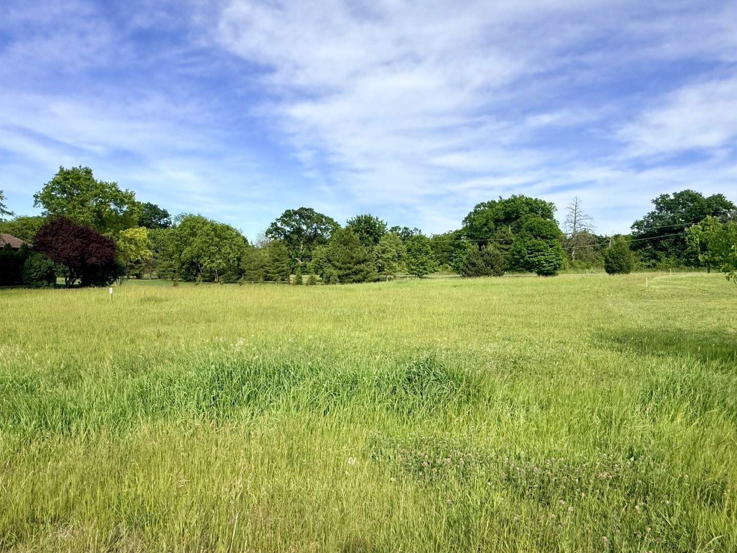 Lot 17 Savannah Court