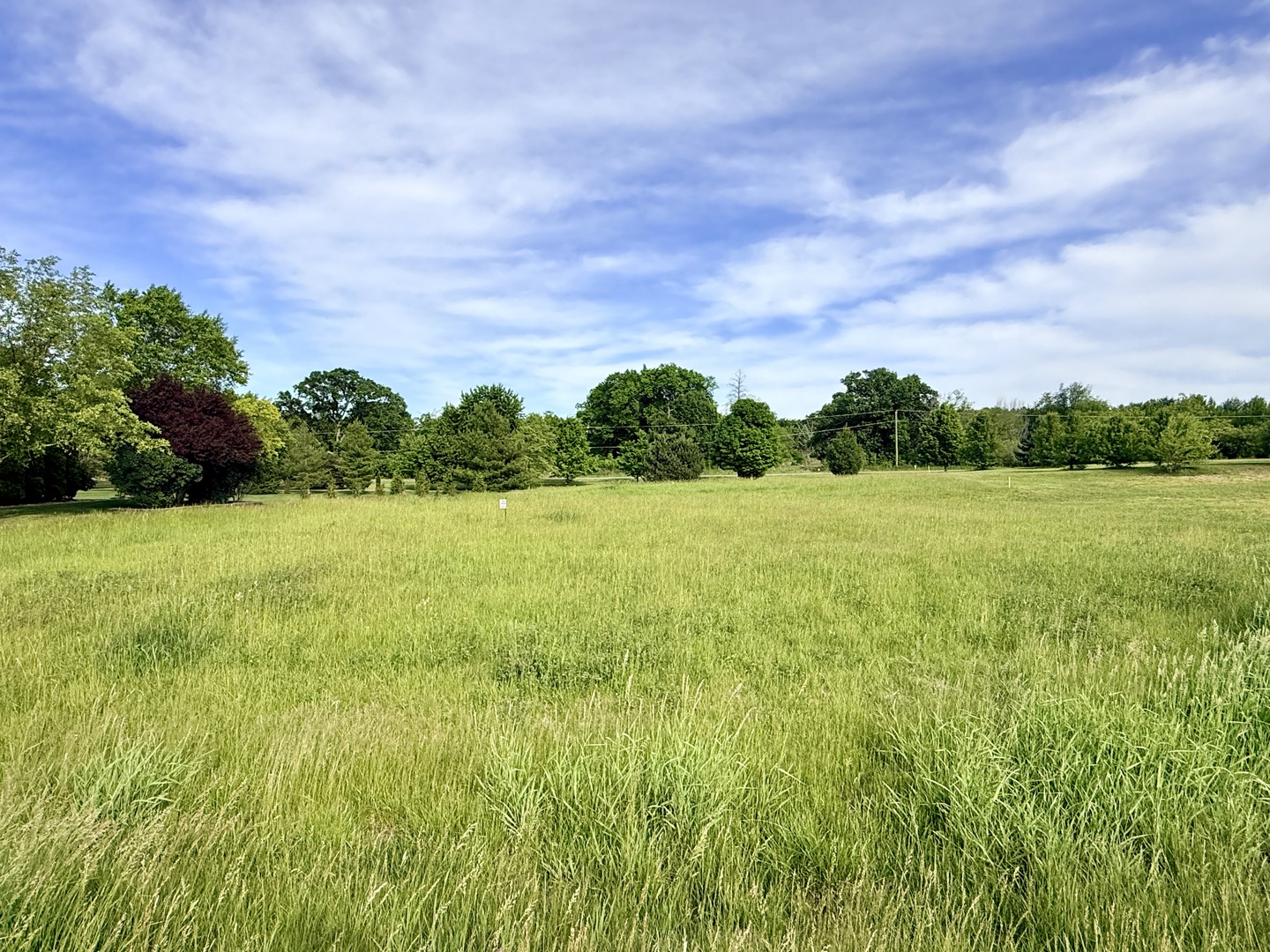 Lot 17 Savannah Court