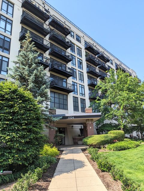 1524 S Sangamon Street 401 Chicago IL 60608