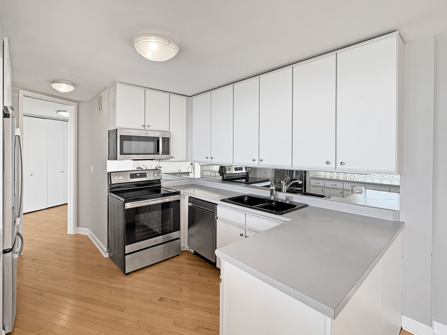 505 N Lake Shore Drive 4105