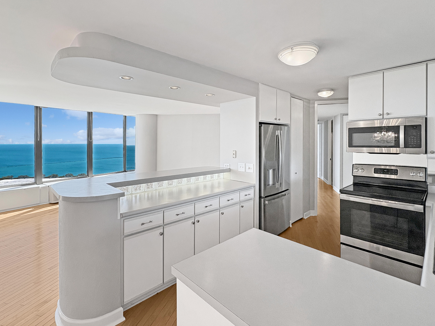505 N Lake Shore Drive 4105