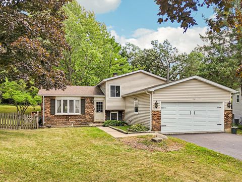 710 Greenbriar Lane Lindenhurst IL 60046