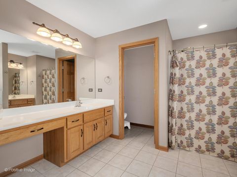 Tiny photo for 713 Joanne Drive, Minooka, IL 60447 (MLS # 12457784)