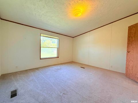 Tiny photo for 125 Beech Hollow Road, Harrisburg, IL 62946 (MLS # EB460027)