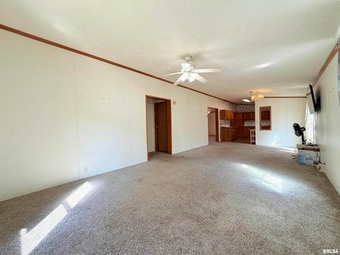 Tiny photo for 125 Beech Hollow Road, Harrisburg, IL 62946 (MLS # EB460027)