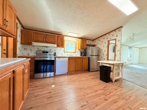 Tiny photo for 125 Beech Hollow Road, Harrisburg, IL 62946 (MLS # EB460027)