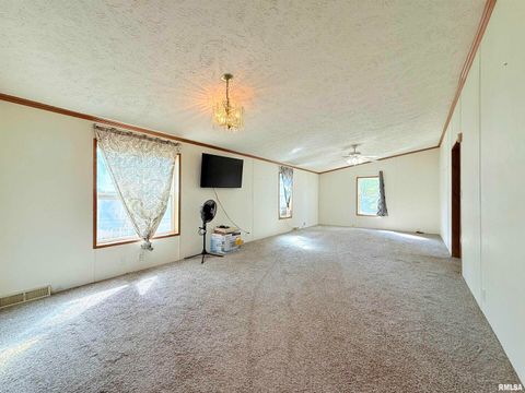 Tiny photo for 125 Beech Hollow Road, Harrisburg, IL 62946 (MLS # EB460027)