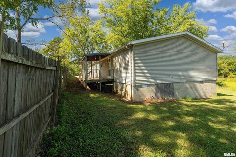 Tiny photo for 125 Beech Hollow Road, Harrisburg, IL 62946 (MLS # EB460027)