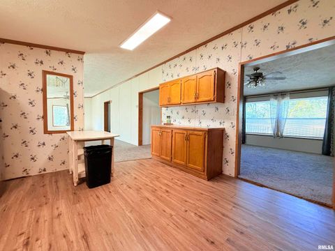 Tiny photo for 125 Beech Hollow Road, Harrisburg, IL 62946 (MLS # EB460027)