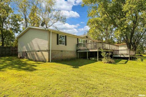 Tiny photo for 125 Beech Hollow Road, Harrisburg, IL 62946 (MLS # EB460027)