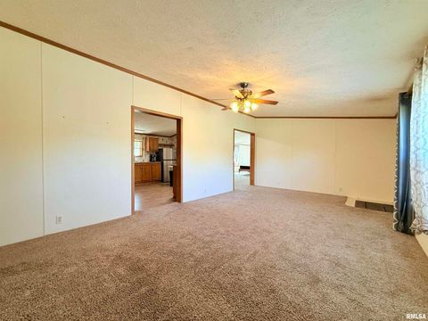 Tiny photo for 125 Beech Hollow Road, Harrisburg, IL 62946 (MLS # EB460027)