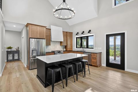 Tiny photo for 25865 VALLEY Drive, Bettendorf, IA 52722 (MLS # QC4266908)