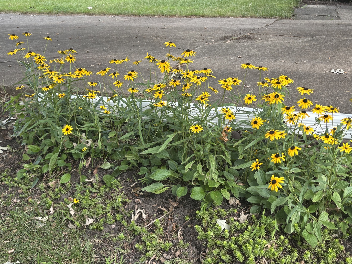 Glendale Heights, Illinois 60139, United States, 3 Bedrooms Bedrooms, ,2 BathroomsBathrooms,Residential,Active,220929