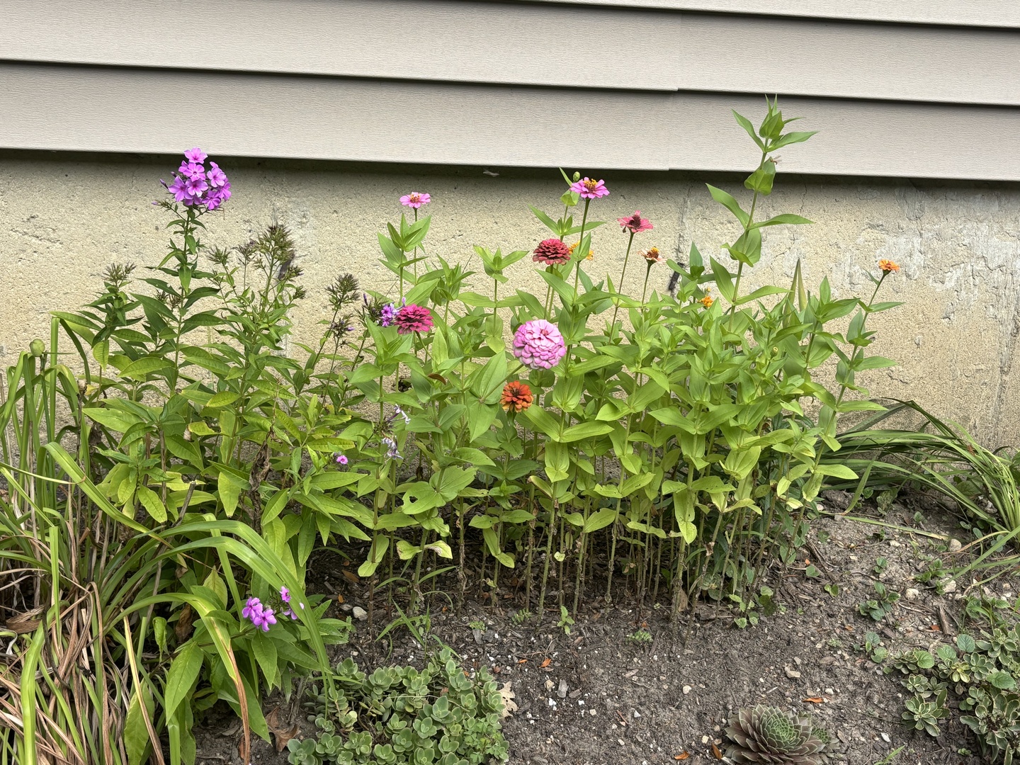 Glendale Heights, Illinois 60139, United States, 3 Bedrooms Bedrooms, ,2 BathroomsBathrooms,Residential,Active,220929