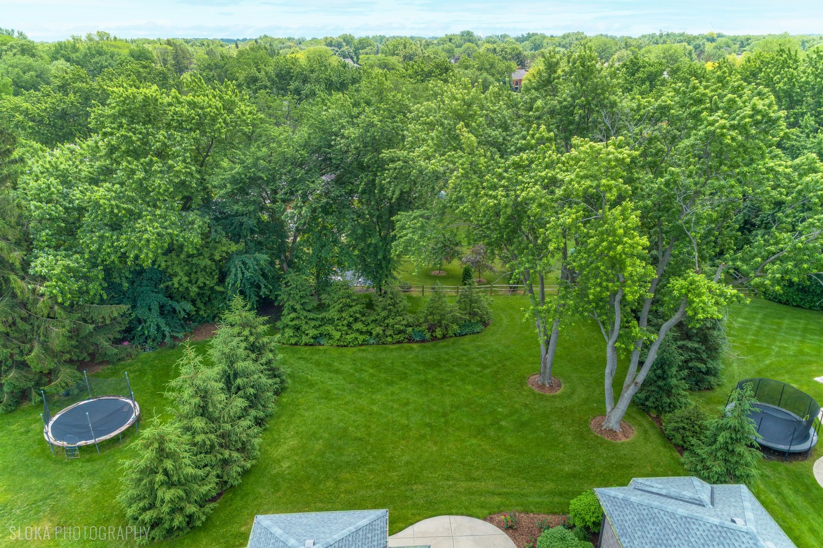 405 Fox Glove Lane