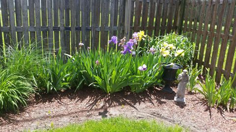 Tiny photo for 533 Glen Avenue, Romeoville, IL 60446 (MLS # 12553048)