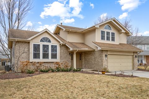 45 Brookshire Court Aurora IL 60502