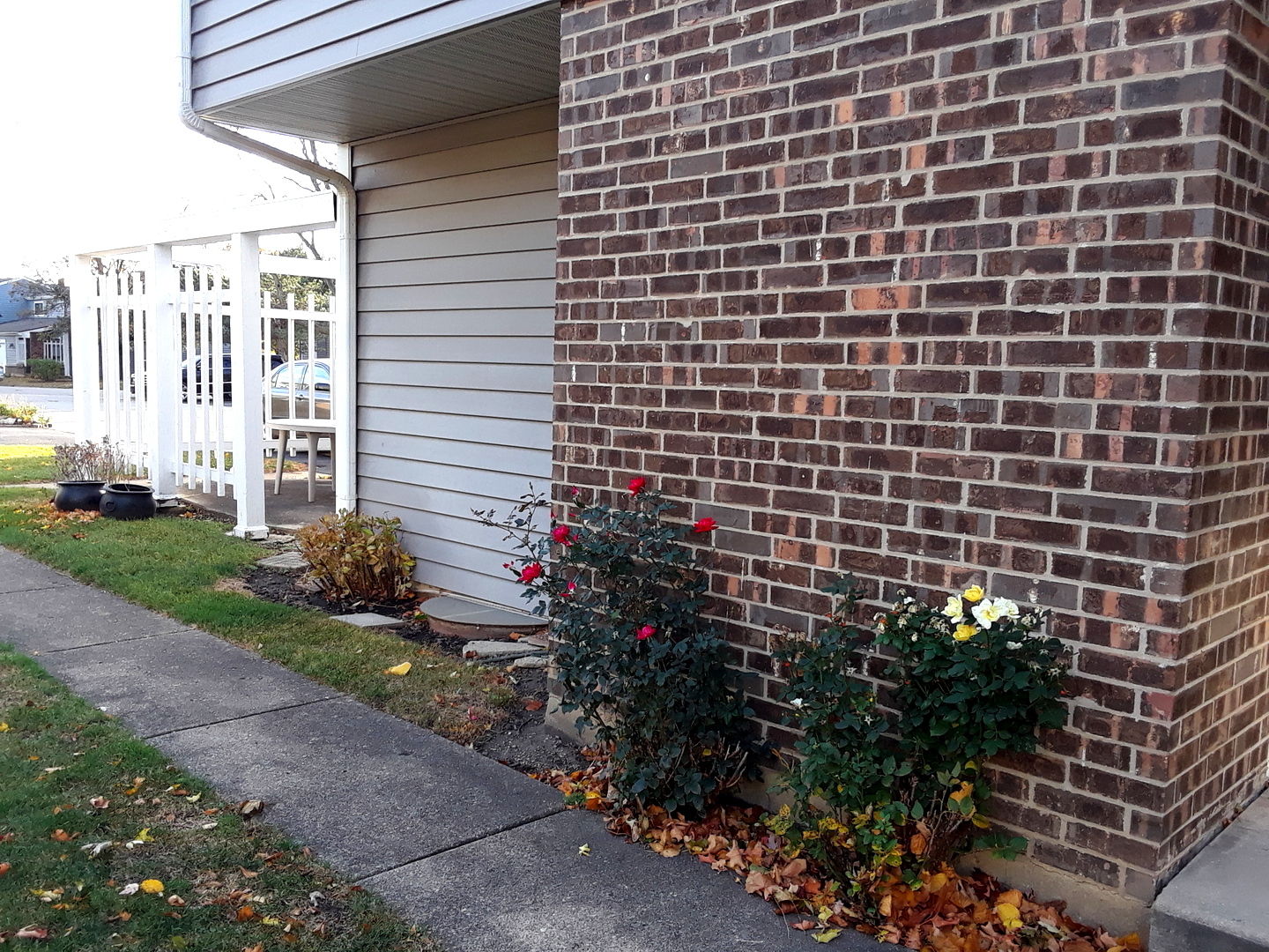 460 Maple Drive