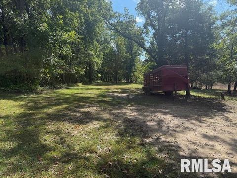 Tiny photo for 10843 Illinois Steel Road, Johnston City, IL 62951 (MLS # EB460055)