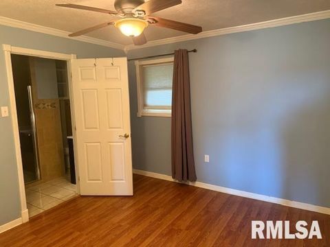 Tiny photo for 10843 Illinois Steel Road, Johnston City, IL 62951 (MLS # EB460055)
