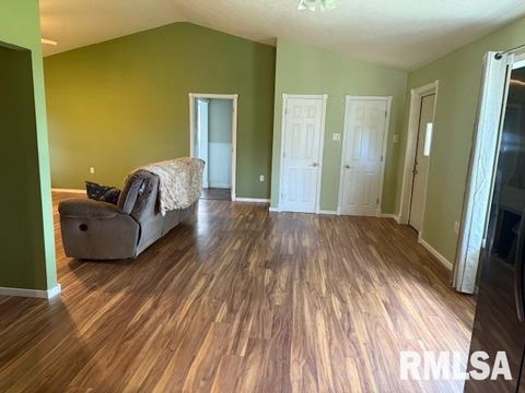 Tiny photo for 10843 Illinois Steel Road, Johnston City, IL 62951 (MLS # EB460055)