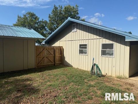 Tiny photo for 10843 Illinois Steel Road, Johnston City, IL 62951 (MLS # EB460055)