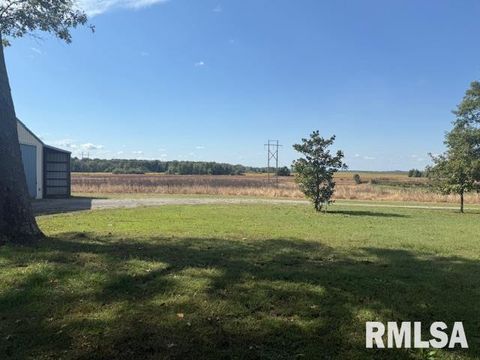 Tiny photo for 10843 Illinois Steel Road, Johnston City, IL 62951 (MLS # EB460055)