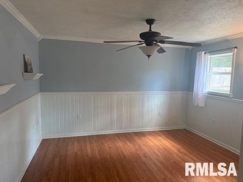 Tiny photo for 10843 Illinois Steel Road, Johnston City, IL 62951 (MLS # EB460055)