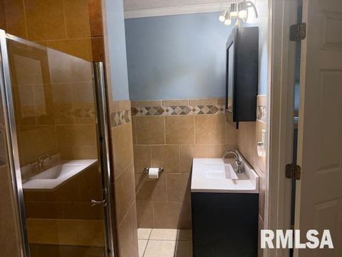 Tiny photo for 10843 Illinois Steel Road, Johnston City, IL 62951 (MLS # EB460055)