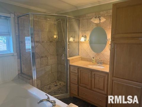 Tiny photo for 10843 Illinois Steel Road, Johnston City, IL 62951 (MLS # EB460055)