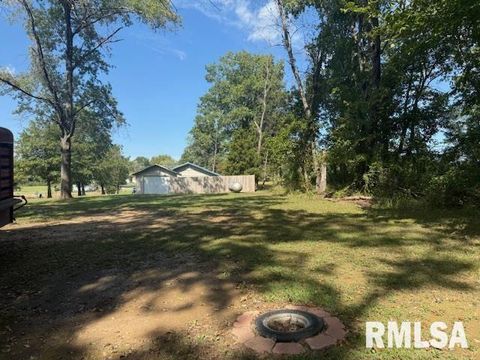 Tiny photo for 10843 Illinois Steel Road, Johnston City, IL 62951 (MLS # EB460055)