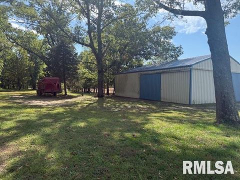 Tiny photo for 10843 Illinois Steel Road, Johnston City, IL 62951 (MLS # EB460055)