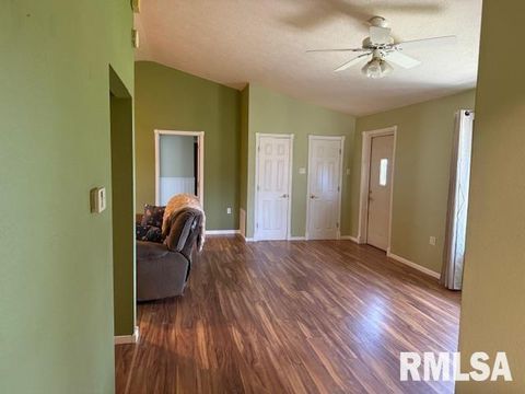 Tiny photo for 10843 Illinois Steel Road, Johnston City, IL 62951 (MLS # EB460055)