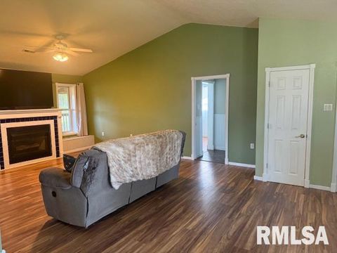 Tiny photo for 10843 Illinois Steel Road, Johnston City, IL 62951 (MLS # EB460055)