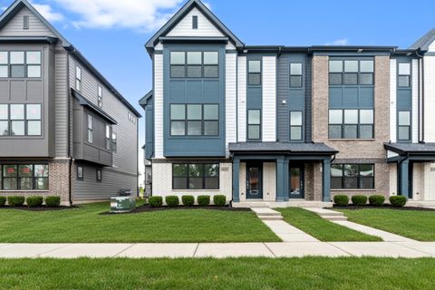  Morton Grove IL 60053