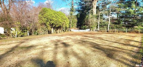 Tiny photo for 7306 Norris Drive, Marion, IL 62959 (MLS # EB460609)