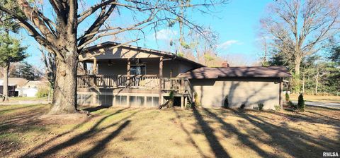 Tiny photo for 7306 Norris Drive, Marion, IL 62959 (MLS # EB460609)