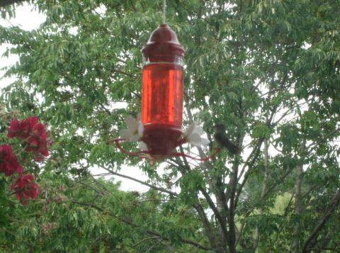 Tiny photo for 0N132 Ennerdale Lane #1407, Winfield, IL 60190 (MLS # 12605232)