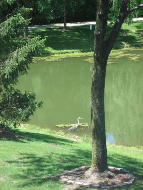 Tiny photo for 0N132 Ennerdale Lane #1407, Winfield, IL 60190 (MLS # 12605232)