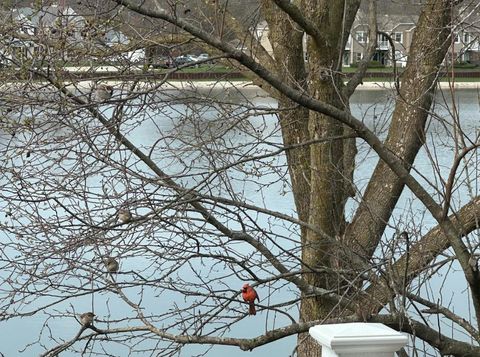 Tiny photo for 0N132 Ennerdale Lane #1407, Winfield, IL 60190 (MLS # 12605232)